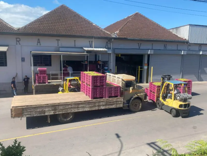 Safra 2025 começa a chegar na Vinícola Garibaldi