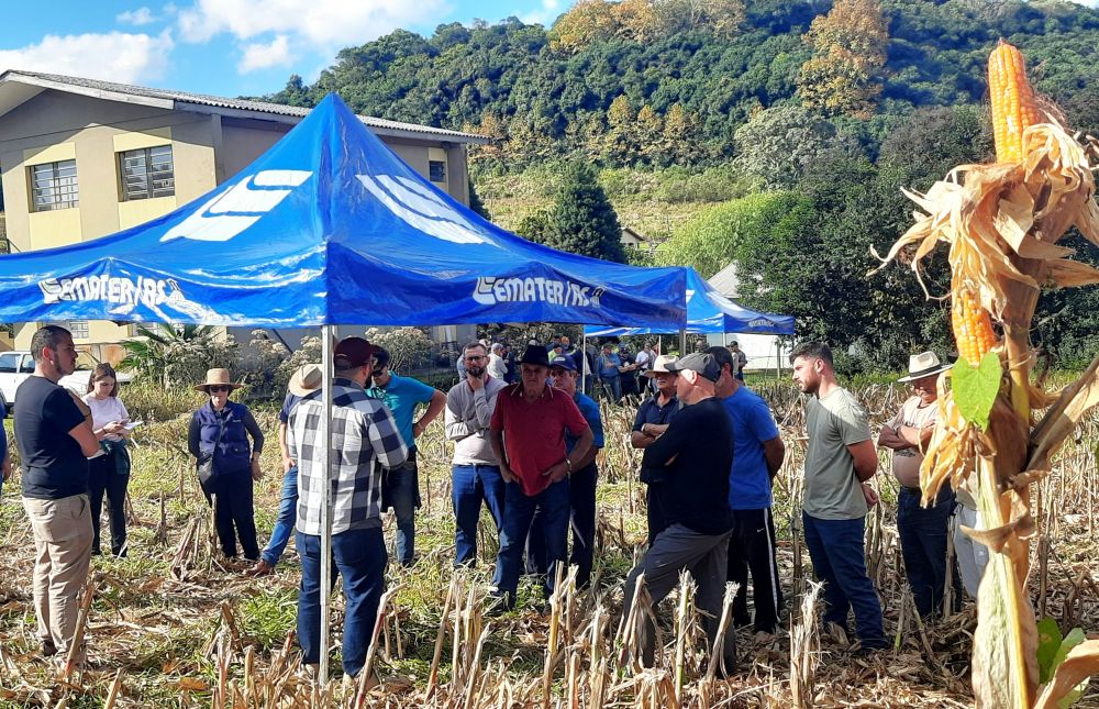 Dia de Campo em Garibaldi aborda temas relacionados ao milho