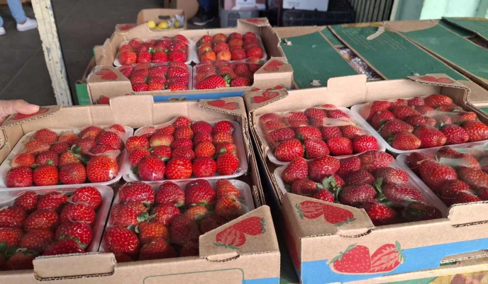 Bobagem da Internet faz bandeja de morango dobrar de preço no RS