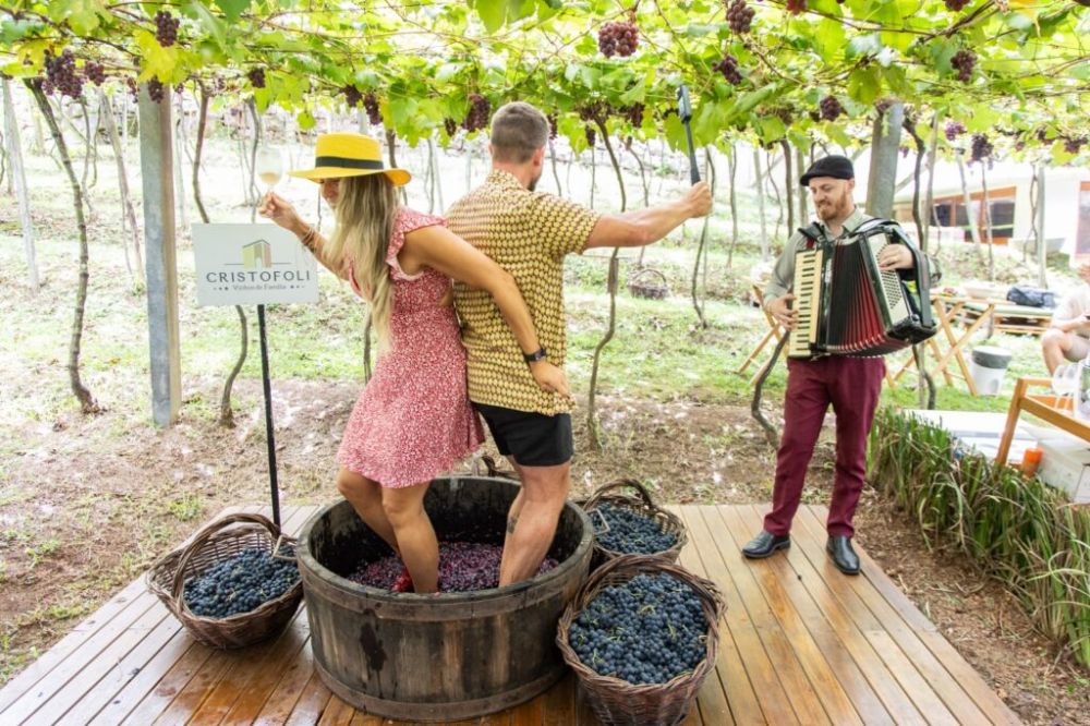 Bento Gonçalves dá largada à Vindima e promete semanas de celebração do vinho