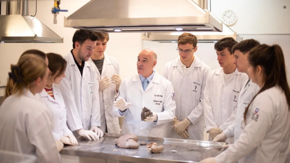 UCS mantém tradição e qualidade no curso de Medicina e vai bem no Enamed 2026