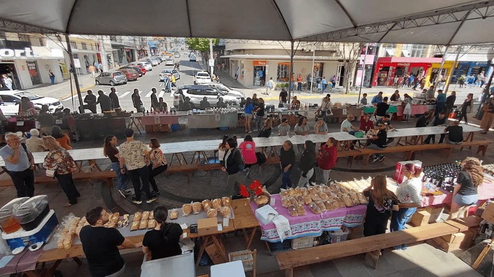 Carnaval com pisa de uva: Festival promete lotar a Via del Vino em Bento Gonçalves
