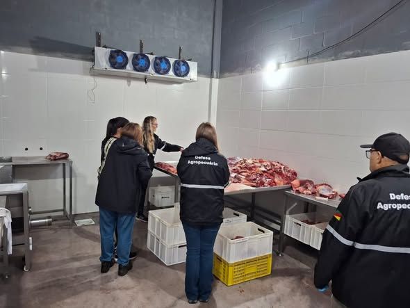 Quase 1 tonelada de carne clandestina é apreendida em Bento Gonçalves
