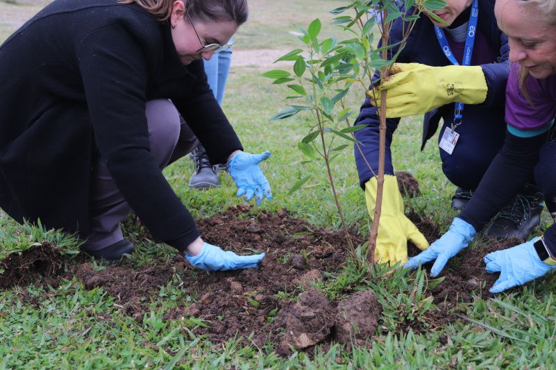 Mutirão na Barragem abre programação do Mês do Meio Ambiente