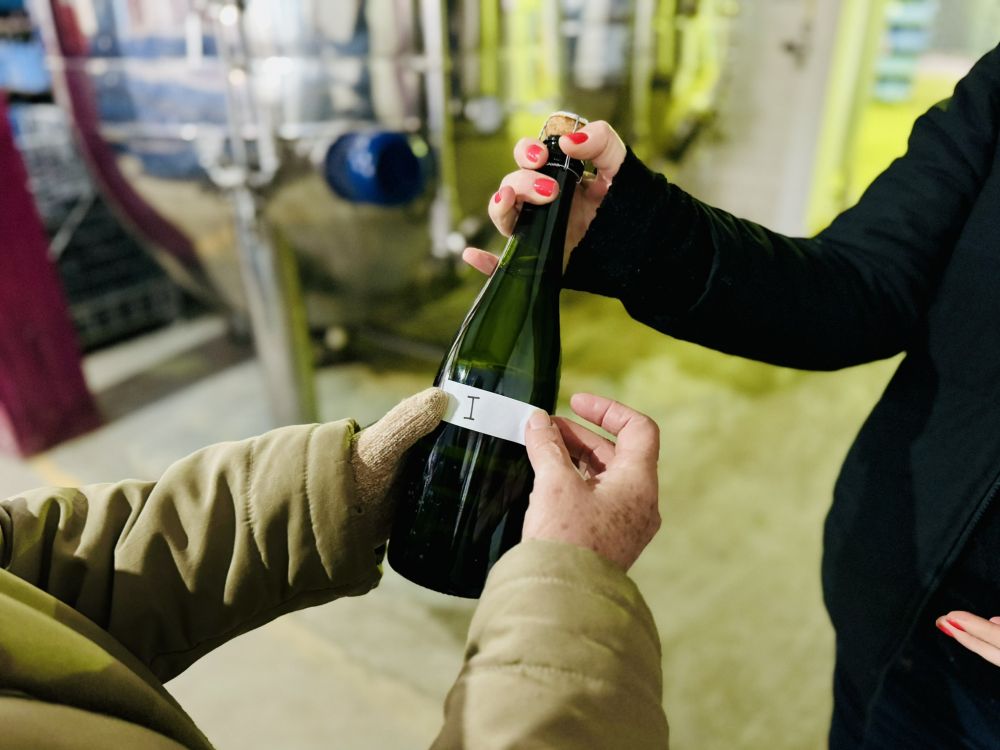 Inscrições abertas para a 24ª Seleção de Vinhos, Espumantes e Sucos de Garibaldi