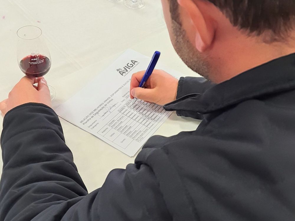 Concurso dos melhores vinhos de Garibaldi registra maior participação da história