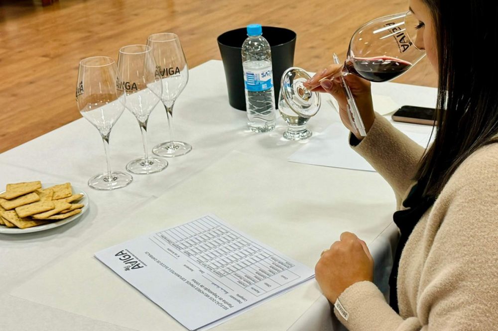 Recorde de inscrições faz seleção dos melhores vinhos de Garibaldi a maior da história 