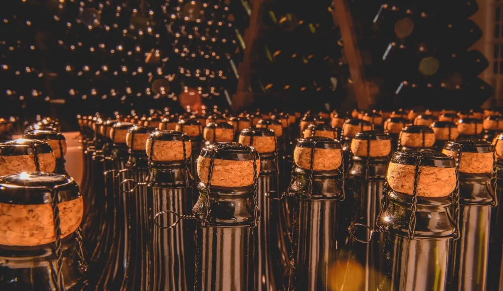 Exportações de vinhos brasileiros disparam e levam sabores do país a 79 mercados