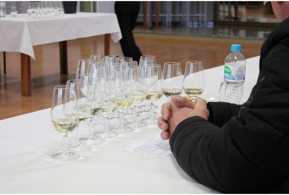 Garibaldi prepara noite de gala para revelar os melhores vinhos, espumantes e sucos 