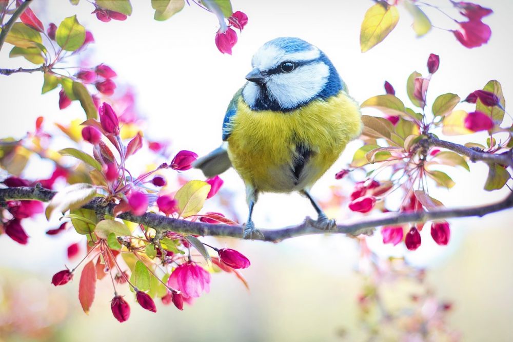 Primavera começa com frio e previsão de muita chuva na Serra