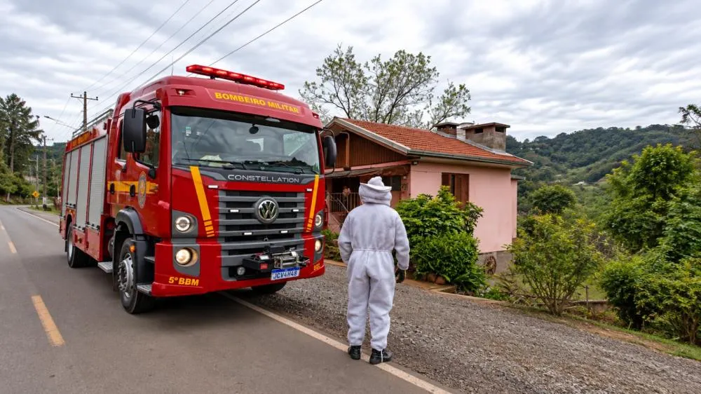 Ataques de abelhas faz Bombeiros emitirem alerta em Bento Gonçalves